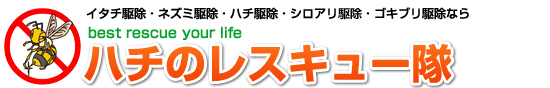 JAPAN@RESCUE株式会社