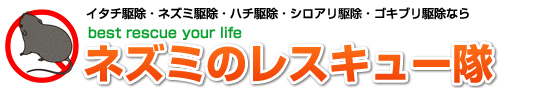 JAPAN@RESCUE株式会社